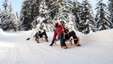 Zwei Personen beim Rodeln