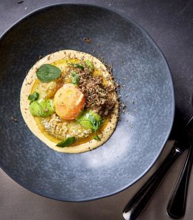 Kreativ angerichtetes Feinschmeckergericht mit Eigelb, Trüffel und Cremesauce auf dunklem Teller.